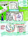 s1 b06 who is the net for