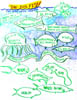 22_p6_bigfish