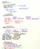 34_p10_mattioli_and