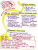 13_Bradner_Decisions