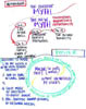 29_Weinberger_Foster