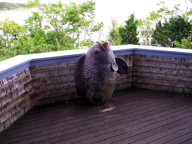 dscn2307.jpg