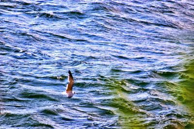 img_0906