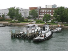 IMG_0845