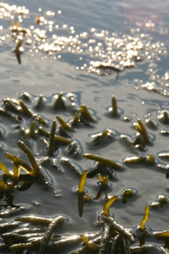 IMG_0043F